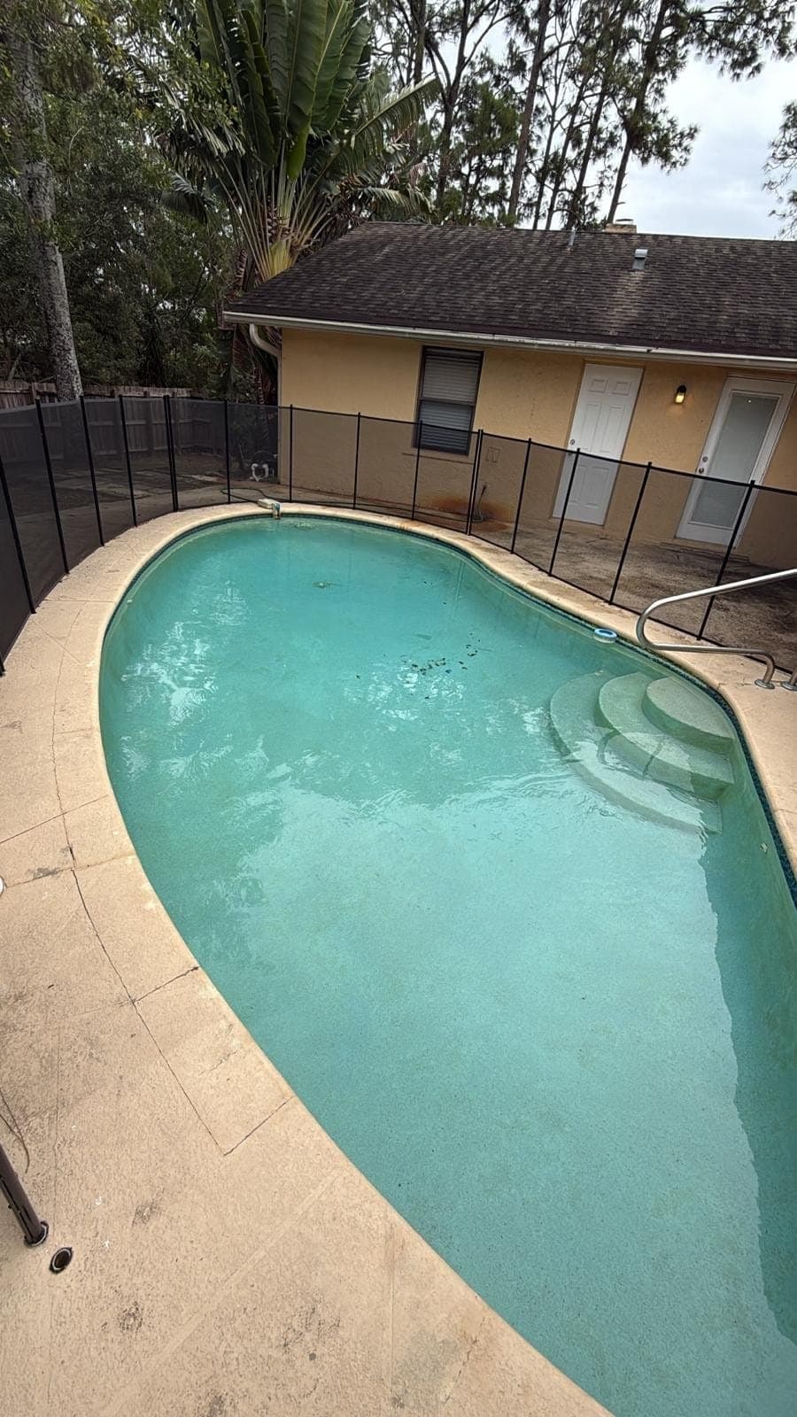 The same fenced backyard pool after cleanup, with clear blue water