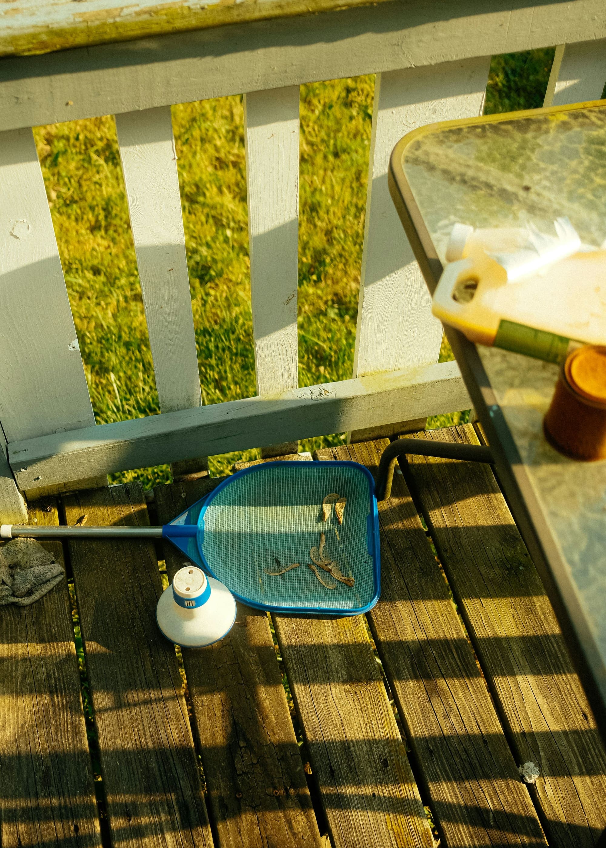 Pool skimmer net and test kit on a sunny wood deck