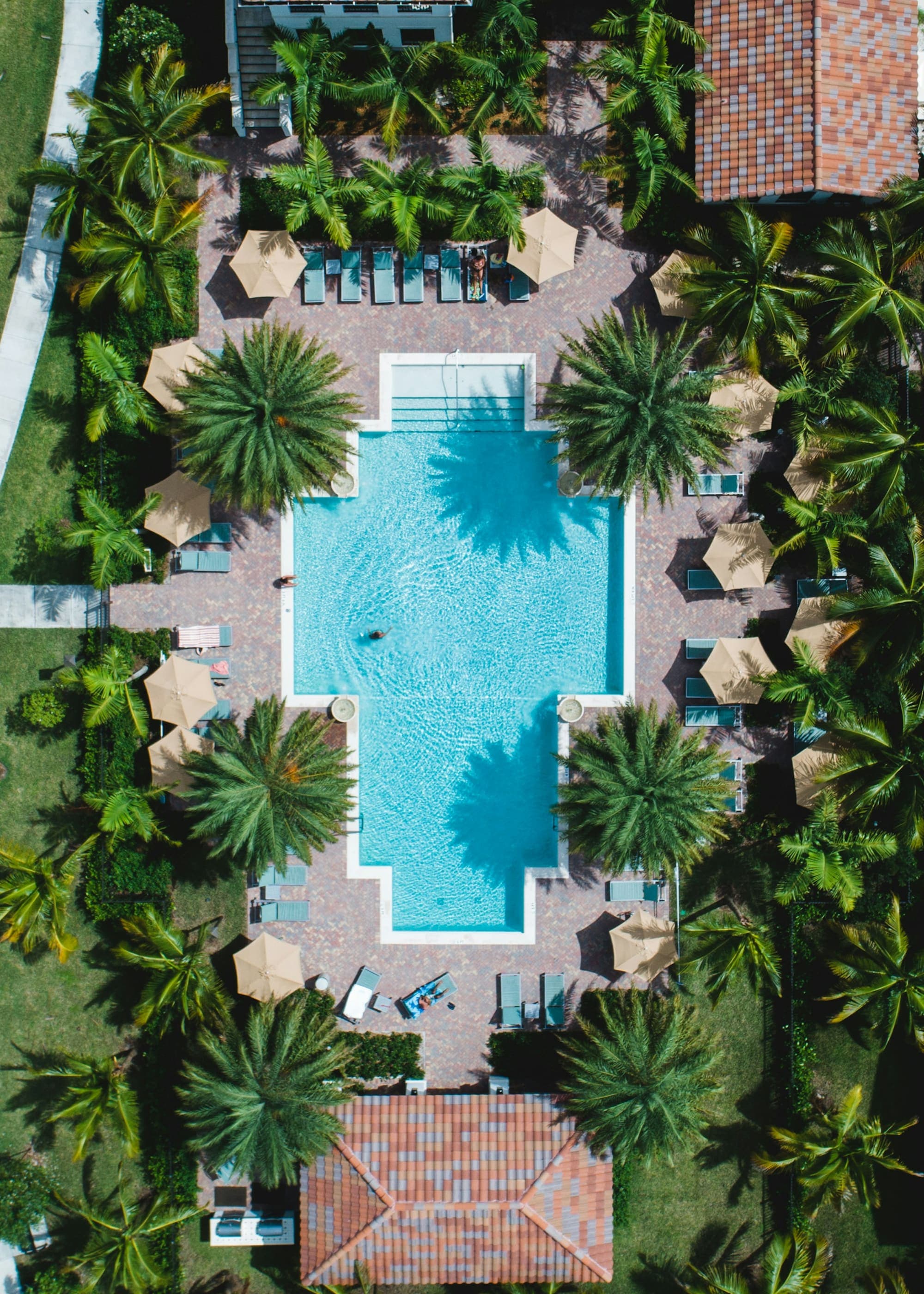 Aerial view of a turquoise pool framed by palm trees and pavers